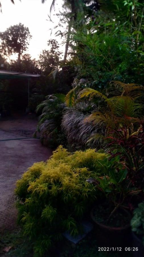 Fab Valley Homestay Munnar Exteriör bild
